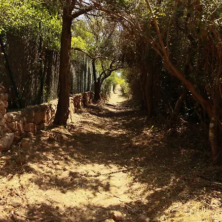 Le Berceau D'asciaghju Palombaggia - Accès Et Piscine Privée Porto Vecchio