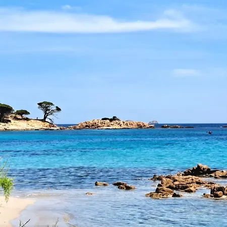 Appartamento Le Berceau D'asciaghju Palombaggia - Accès Et Piscine Privée *